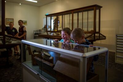 Cloncurry Unearthed Visitor Information Centre and Museum Mary Kathleen Memorial Park